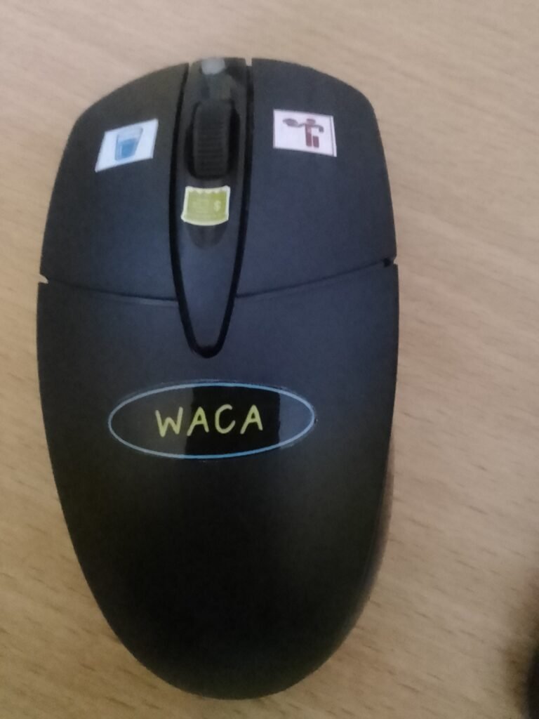 Riasys Waca Mouse Revolutionizing Restaurant Service: The Waiter Calling Mouse